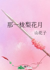 那一栊梨花月